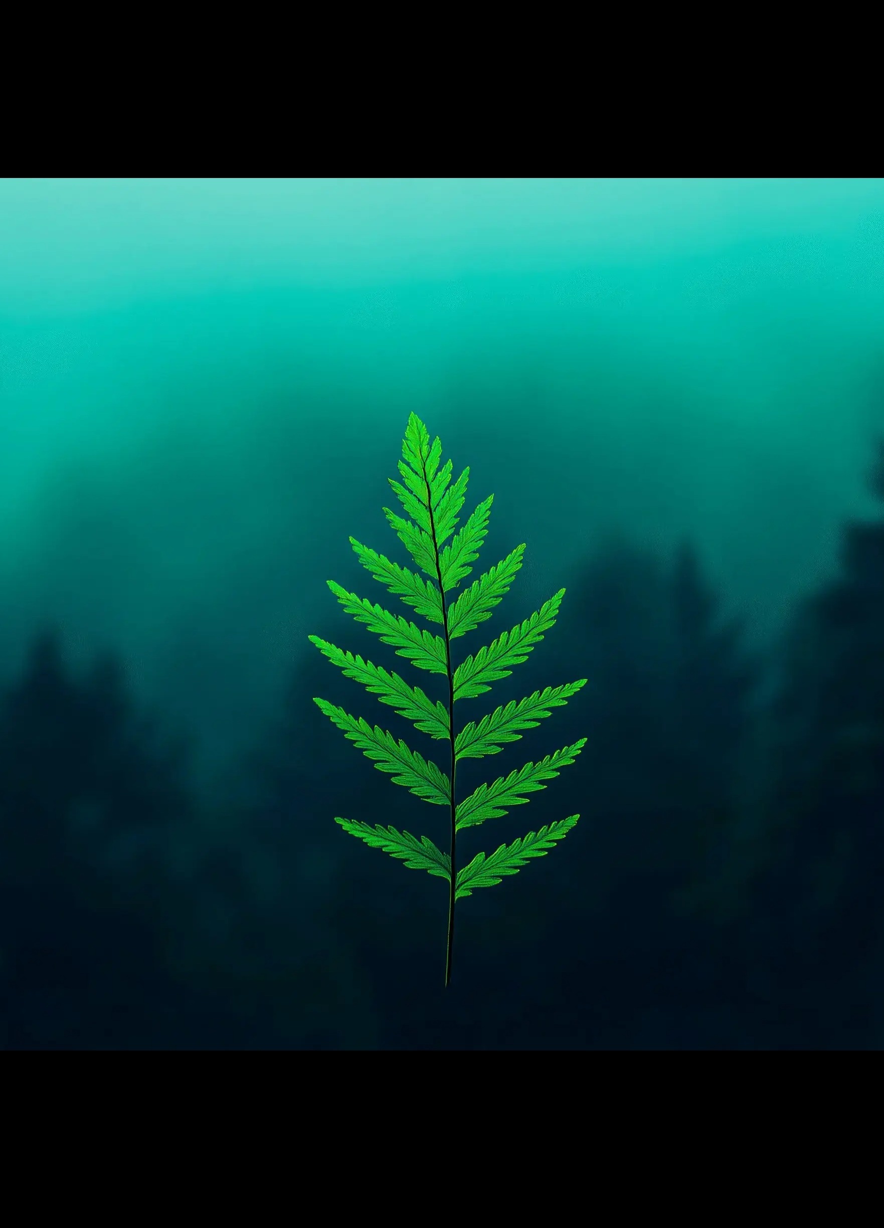 test test test